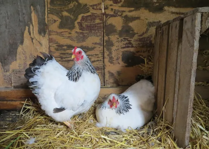 Holiday home Het Wapen Heeckeren *